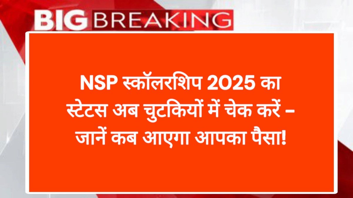 NSP स्कॉलरशिप 2025 का स्टेटस अब चुटकियों में चेक करें - जानें कब आएगा आपका पैसा!